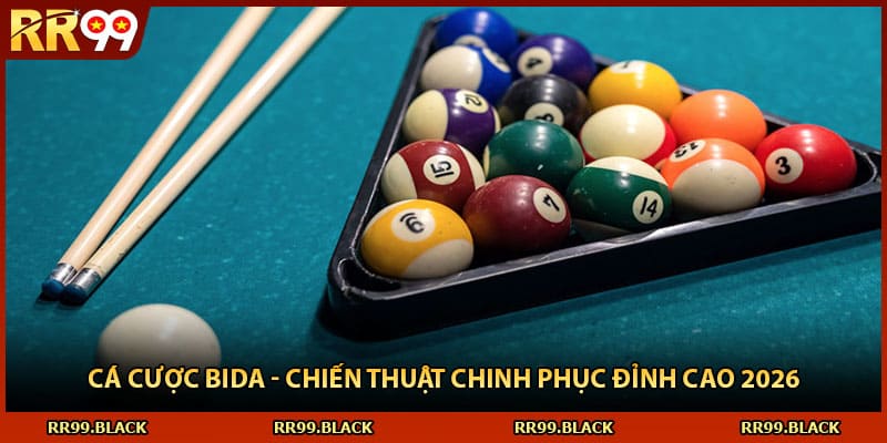 Cá Cược Bida - Chiến Thuật Chinh Phục Đỉnh Cao 2026