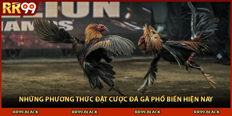 Những phương thức đặt cược đá gà phổ biến hiện nay
